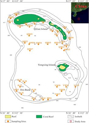 Sediment Microbial Communities and Their Potential Role as Environmental Pollution Indicators in Xuande Atoll, South China Sea